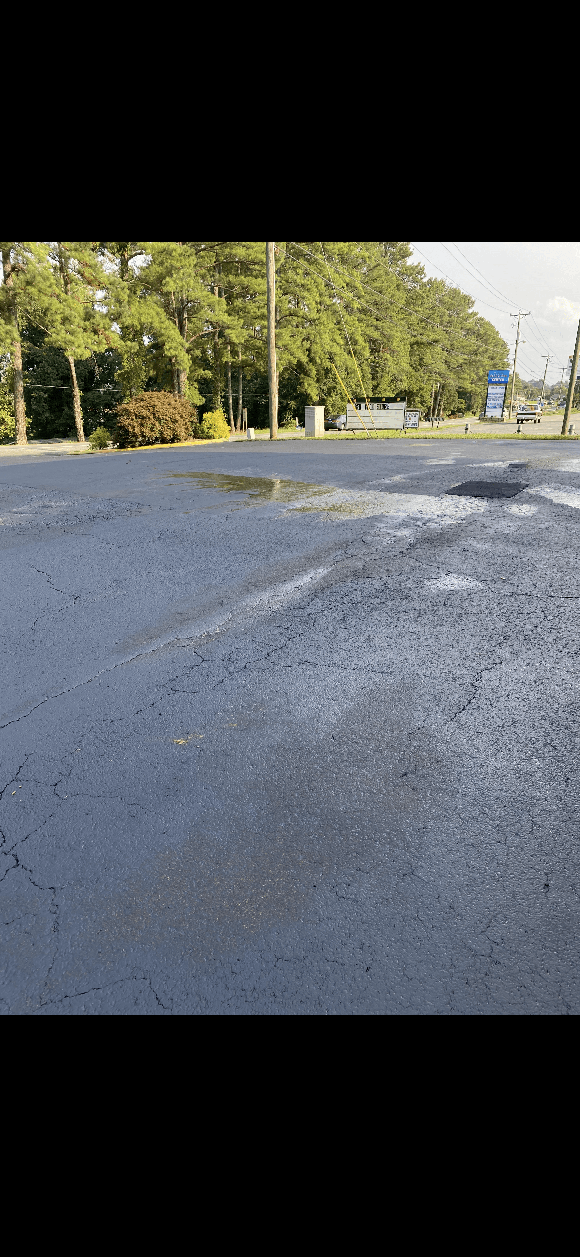 Cracked black asphalt parking lot with a wet patch, bordered by lush green trees.